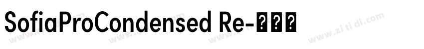 SofiaProCondensed Re字体转换 SofiaProCondensed Re字体转换